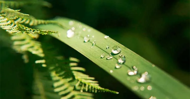 游戏更新解读 - 旺财28